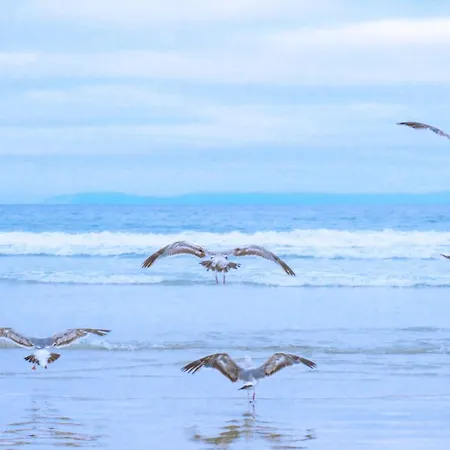 Hébergement de vacances Eenvoudig Zomerhuisje De Strandpost - Aan Zee *