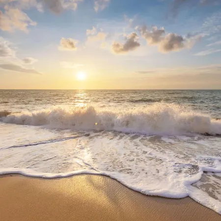 Eenvoudig Zomerhuisje De Strandpost - Aan Zee Hébergement de vacances Callantsoog