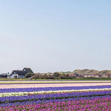 Eenvoudig Zomerhuisje De Strandpost - Aan Zee Nyaraló *