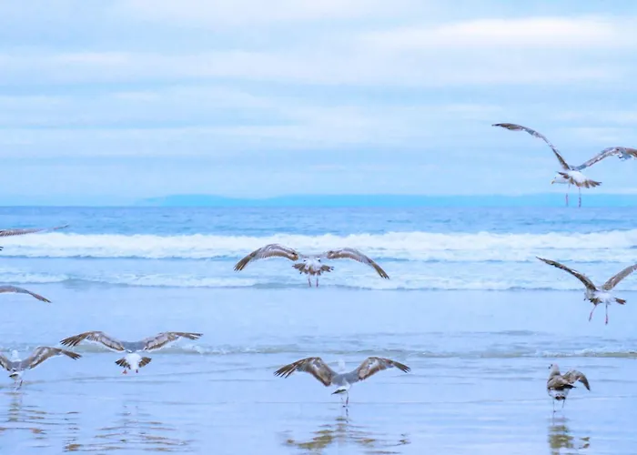 Ferienhaus Eenvoudig Zomerhuisje De Strandpost - Aan Zee *