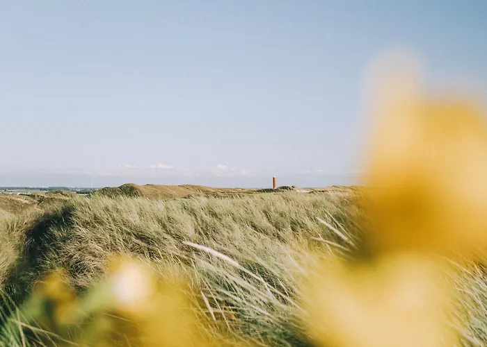 Ferienhaus Eenvoudig Zomerhuisje De Strandpost - Aan Zee