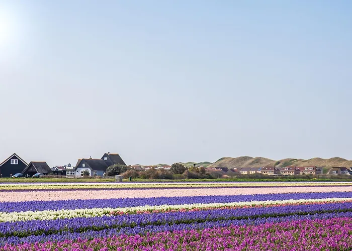 Eenvoudig Zomerhuisje De Strandpost - Aan Zee Ferienhaus *